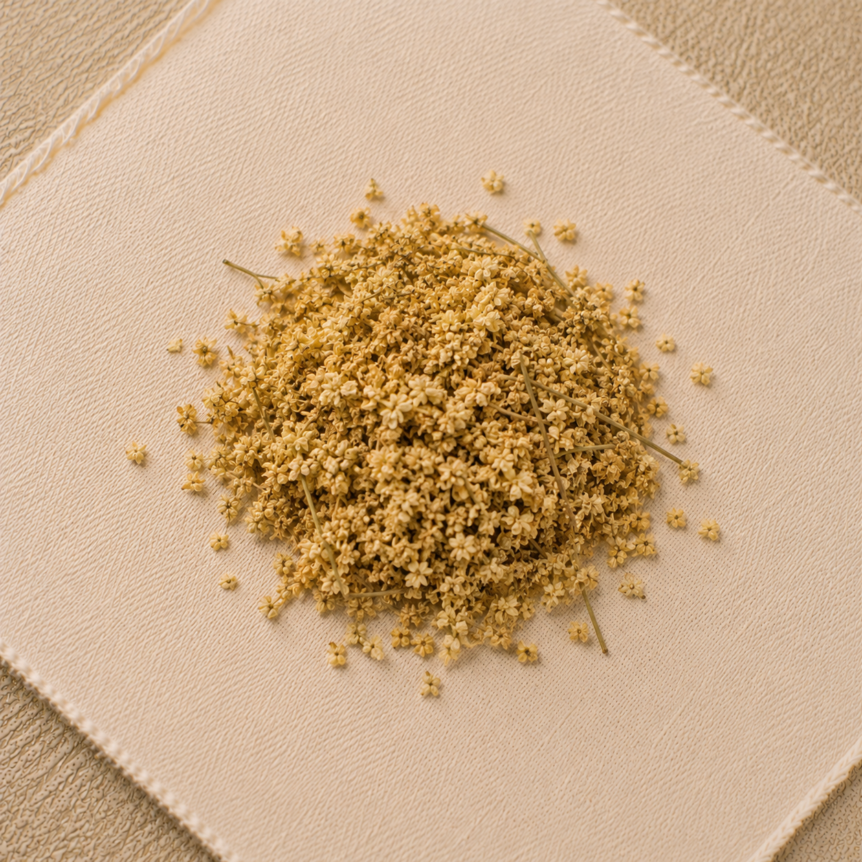 Elderflower