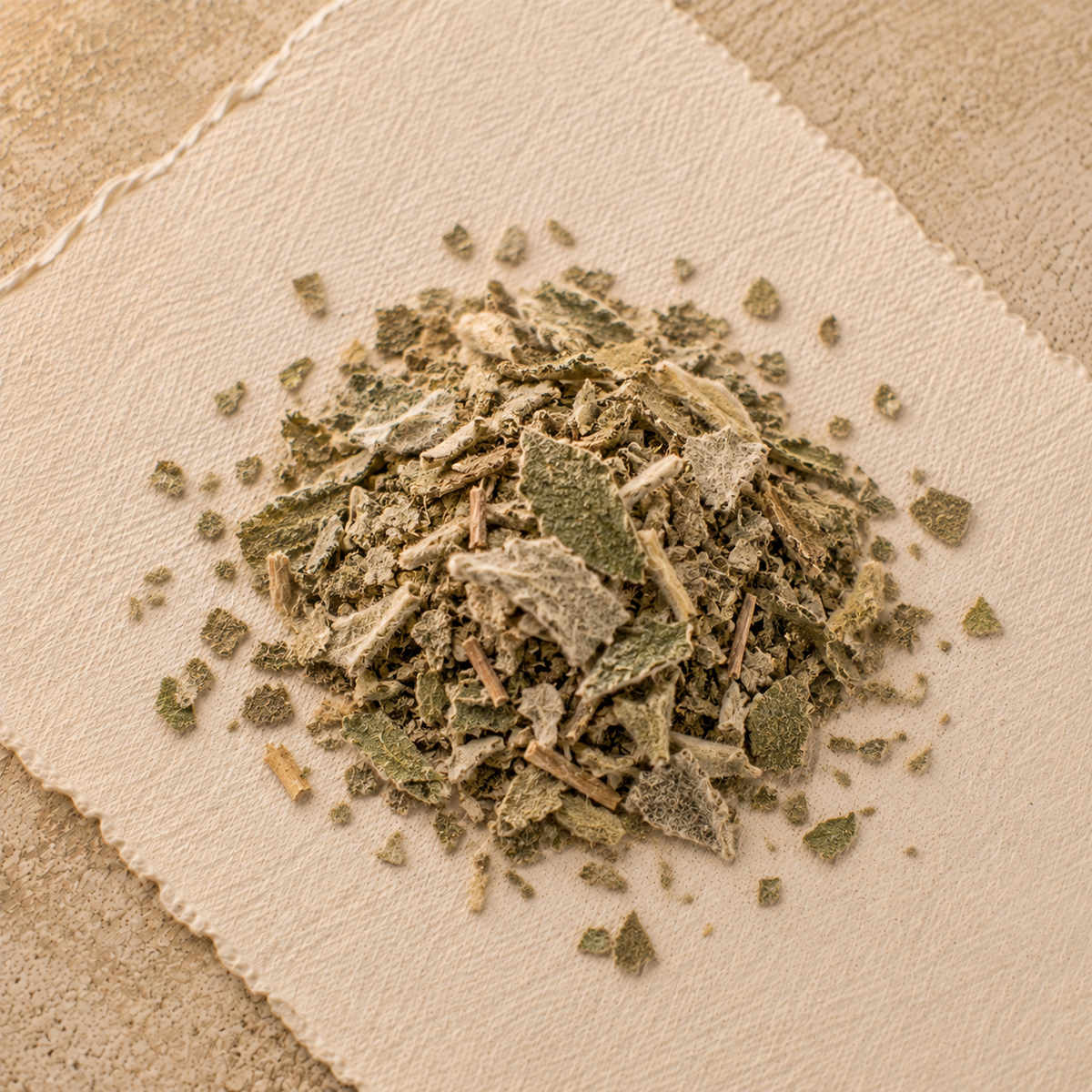 Mullein Leaf