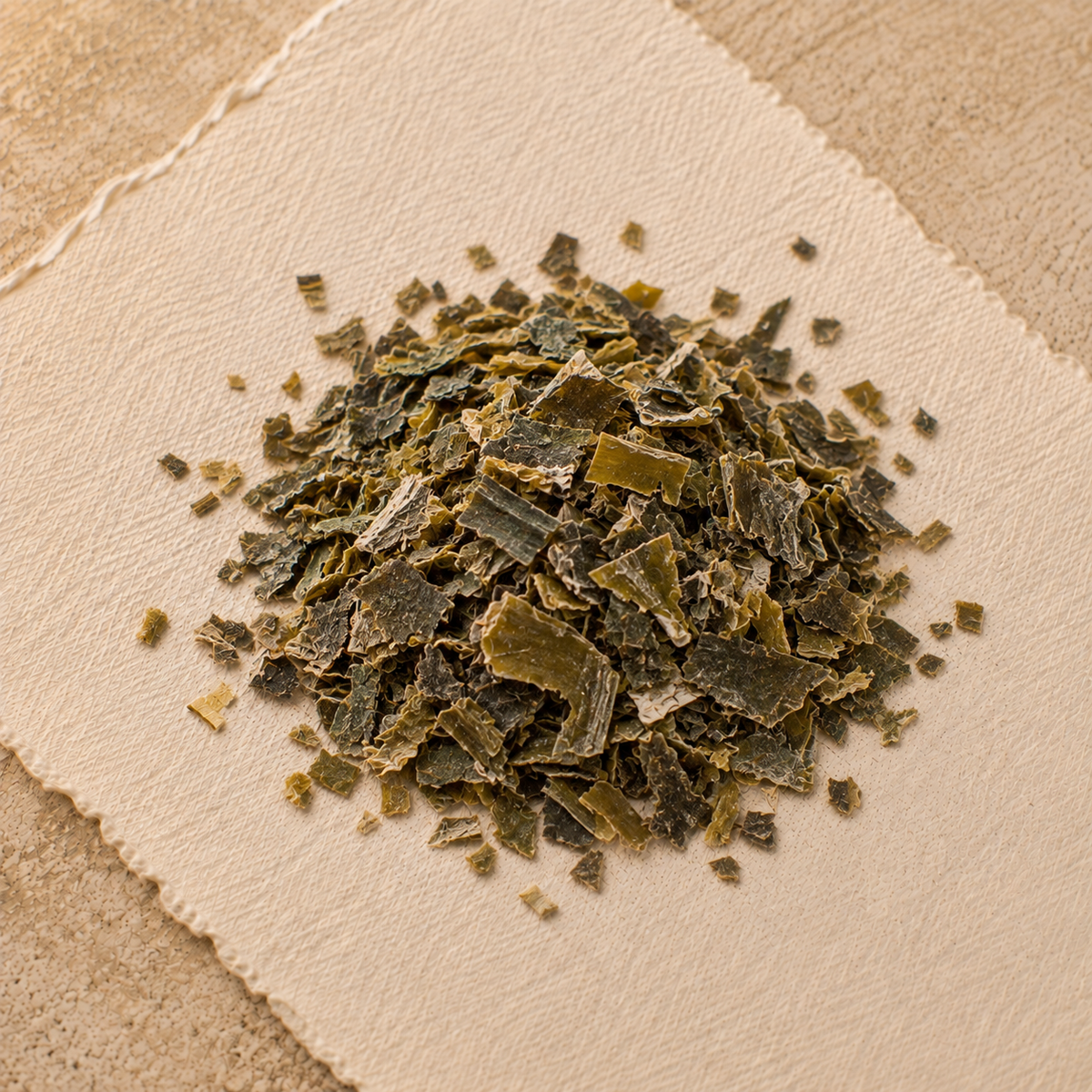 Kelp Herb